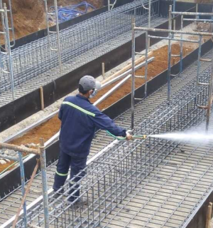 Dịch vụ diệt mối 