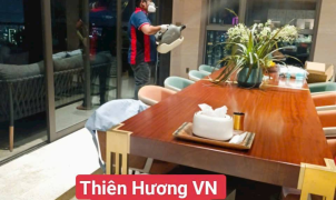 Diệt mối Gò Vấp