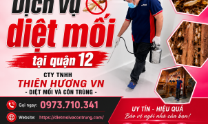 Dịch vụ diệt mối tại quận 12 