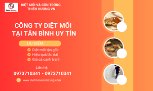 Công ty diệt mối tại Tân Bình uy tín