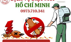 Dịch vụ diệt mối tại HCM