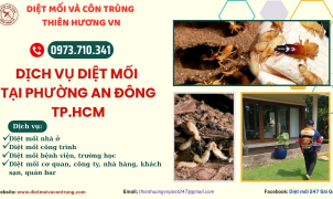 Dịch vụ diệt mối phường An Đông, TP.HCM