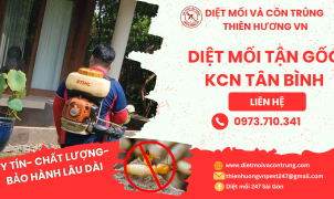 Diệt mối tận gốc KCN Tân Bình