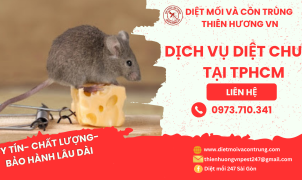 Dịch vụ diệt chuột tại TPHCM