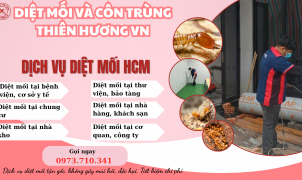 Diệt mối tận gốc tại HCM