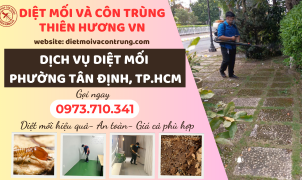 Dịch vụ diệt mối phường Tân Định, TP.HCM