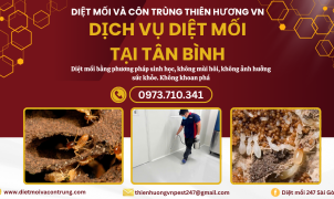 Dịch vụ diệt mối tại Tân Bình