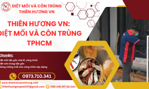 Thiên Hương VN: diệt mối và côn trùng TPHCM