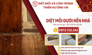 Diệt mối dưới nền nhà