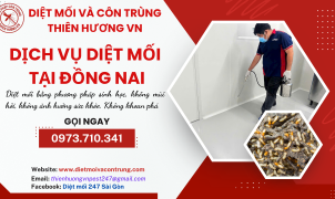 Dịch vụ diệt mối tại Đồng Nai