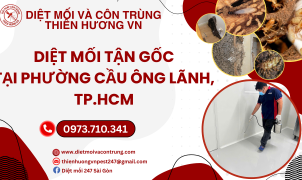 Diệt mối tận gốc phường Cầu Ông Lãnh, TP.HCM