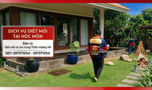 Dịch vụ diệt mối tại Hóc Môn