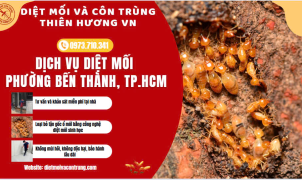 Dịch vụ diệt mối phường Bến Thành, TP.HCM