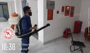 Diệt mối giá bao nhiêu tiền 