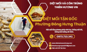 Diệt mối Quận 12