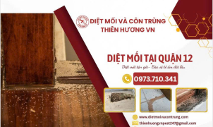 Diệt mối tại Quận 12