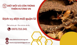 Dịch vụ diệt mối quận 12