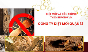 Công Ty Diệt Mối Quận 12 Uy Tín
