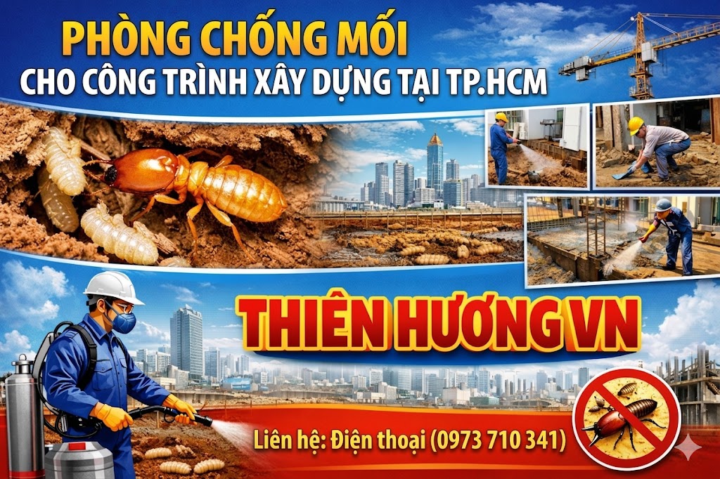 Phòng chống mối cho công trình xây dựng tại TPHCM
