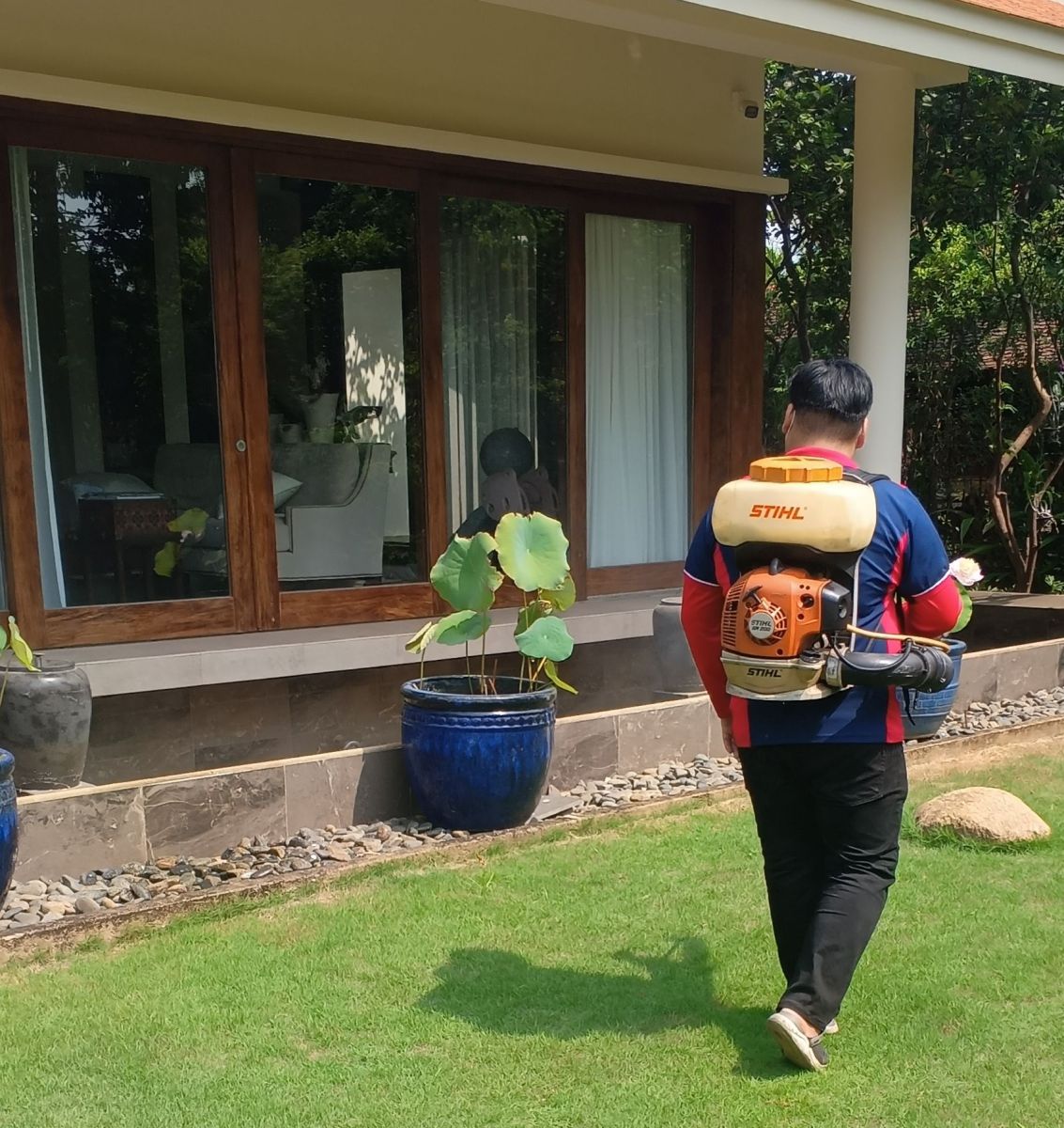 Phòng chống mối cho công trình xây dựng tại TPHCM