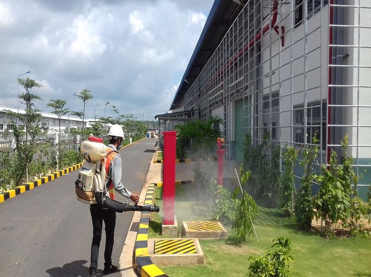 Dịch vụ Diêt Mối