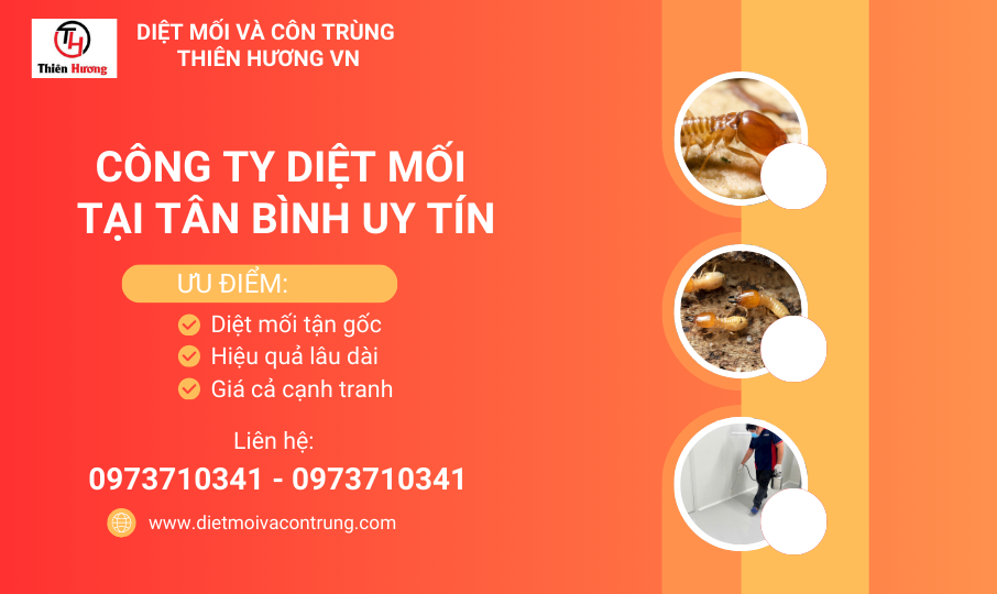 Công ty diệt mối tại Tân Bình uy tín