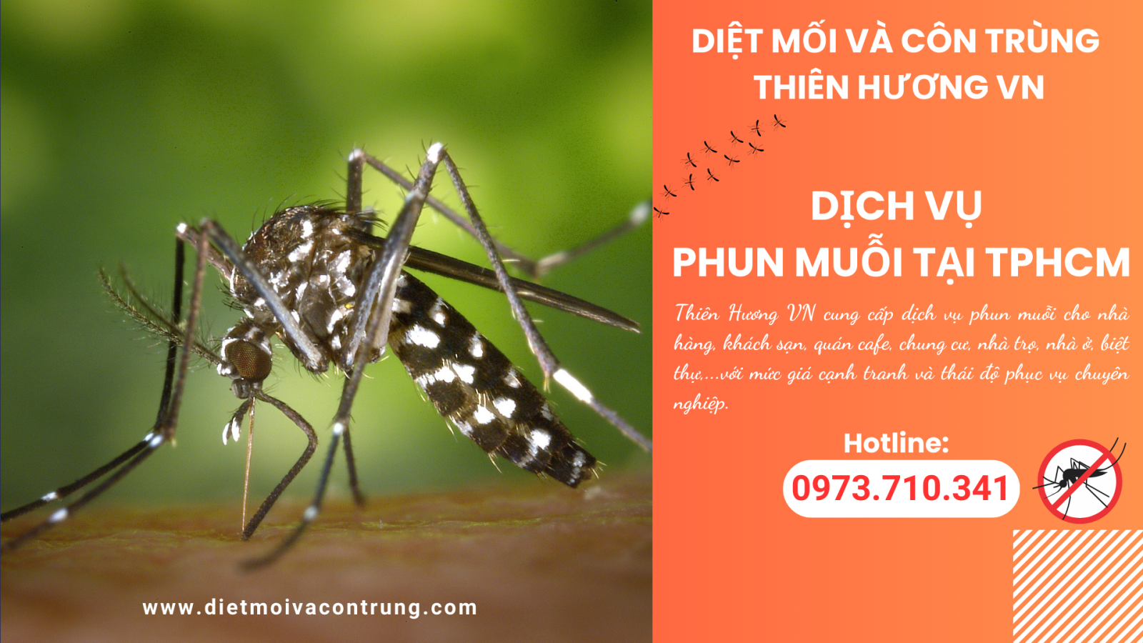 Dịch vụ phun muỗi tại TPHCM