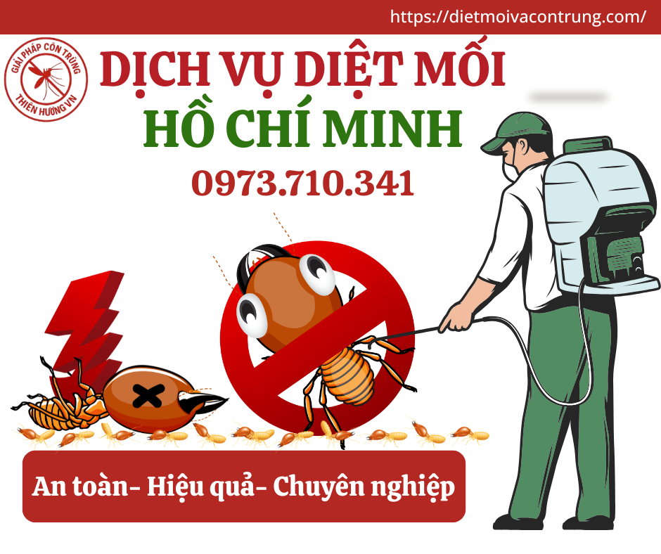 Diệt mối ở Tân Phú