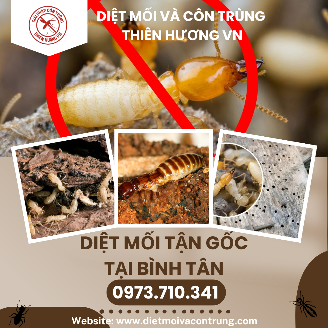 Diệt mối tận gốc tại Bình Tân: Thiên Hương VN
