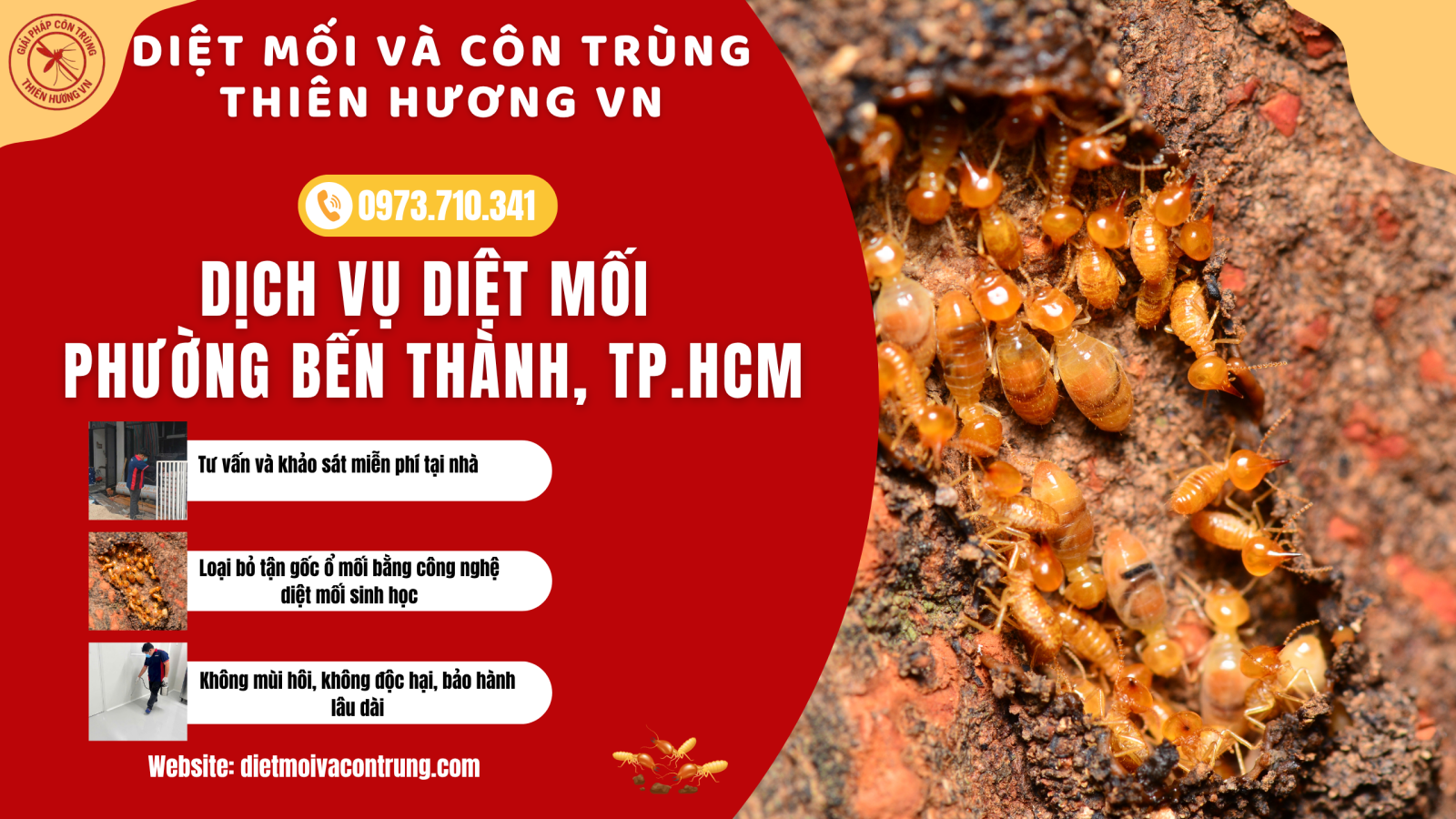 Dịch vụ diệt mối phường Bến Thành, TP.HCM