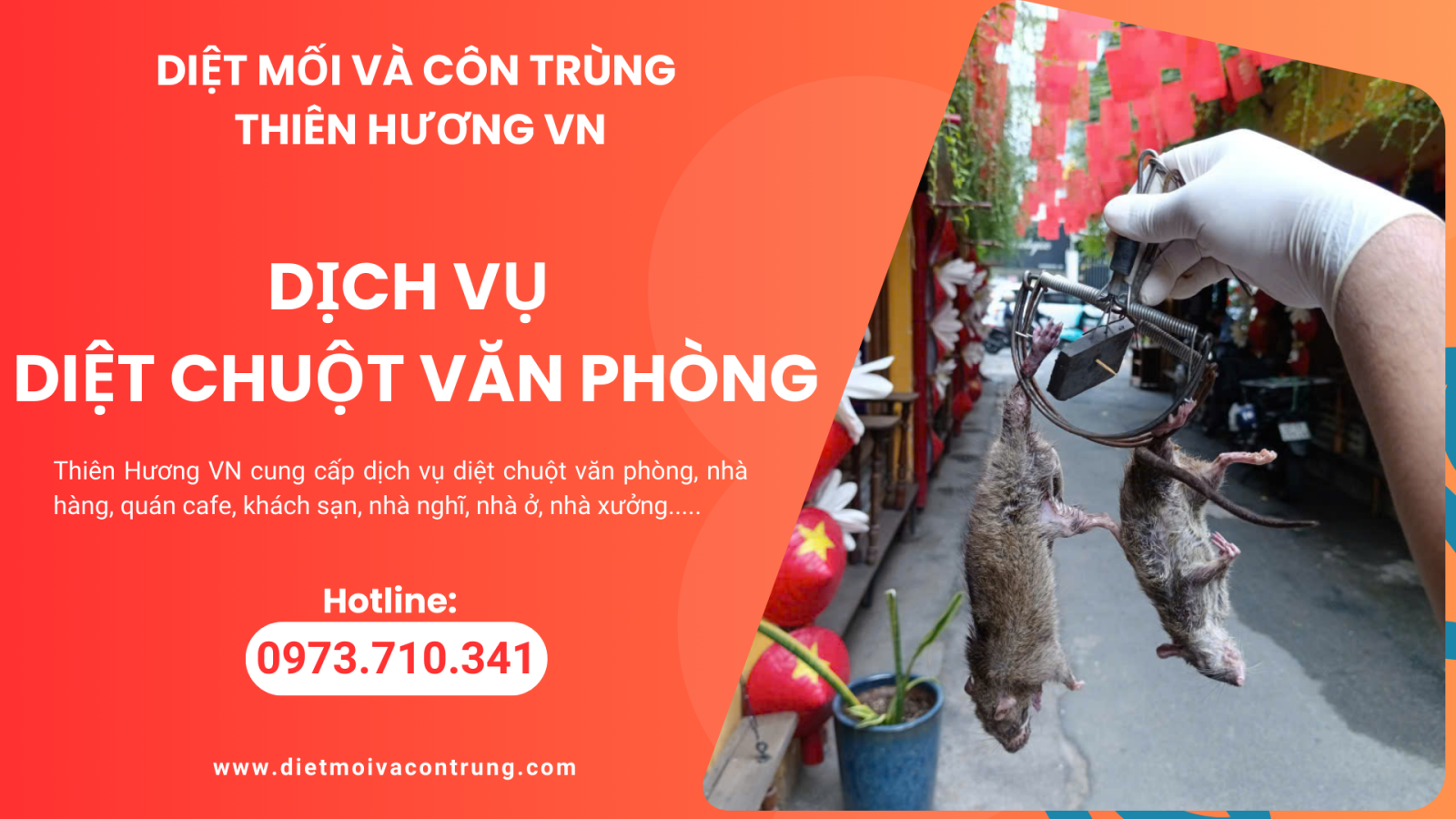 Dịch vụ diệt chuột văn phòng