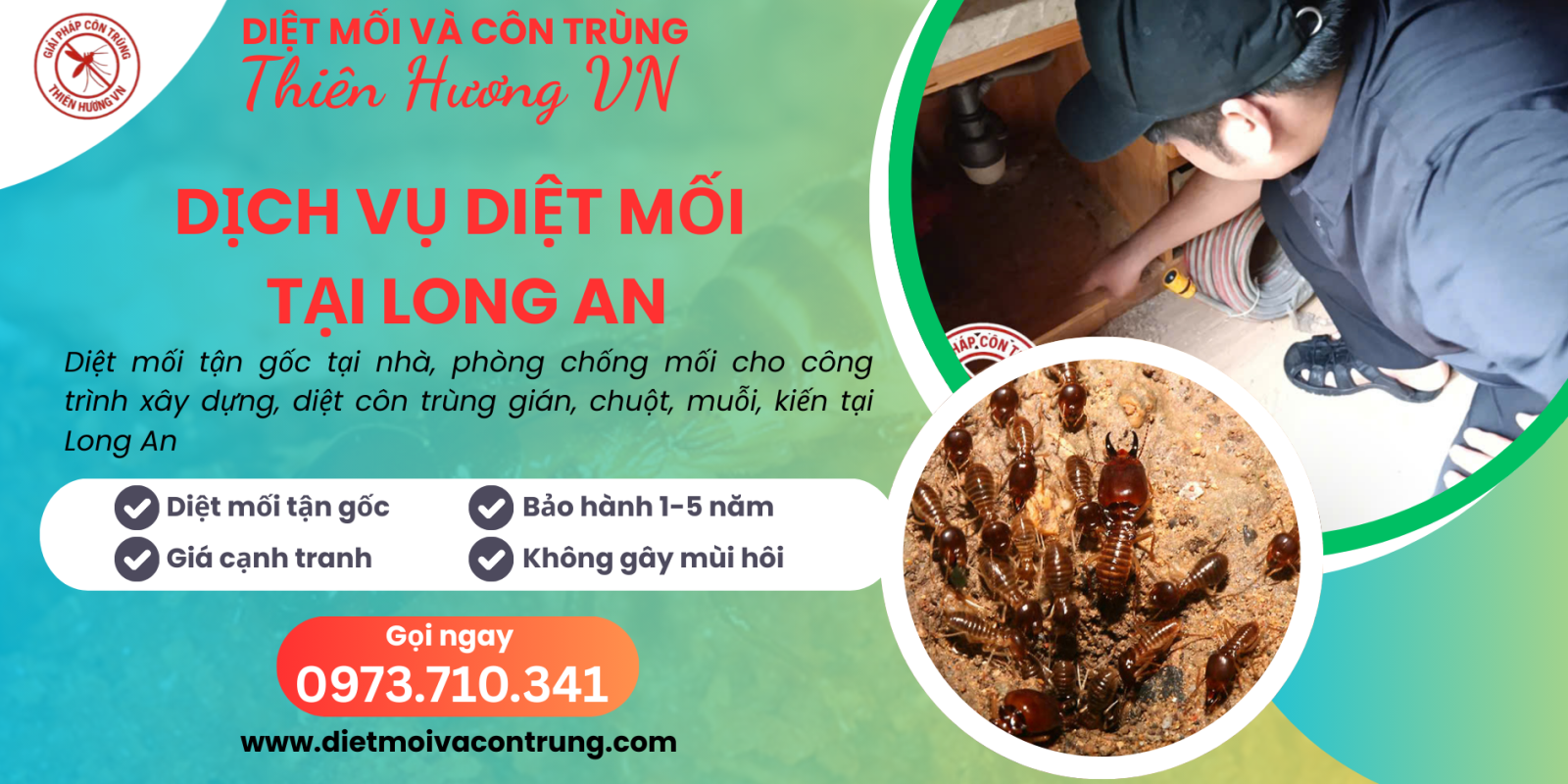 Dịch vụ diệt mối tại Long An