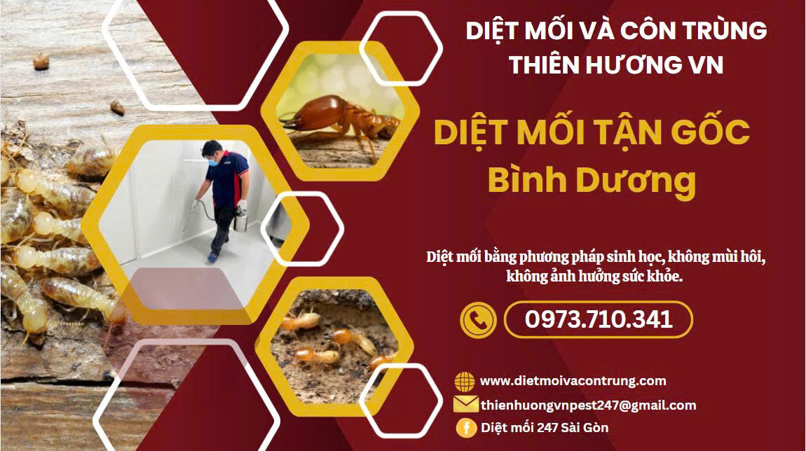 dịch vụ diệt mối tại Bình Dương