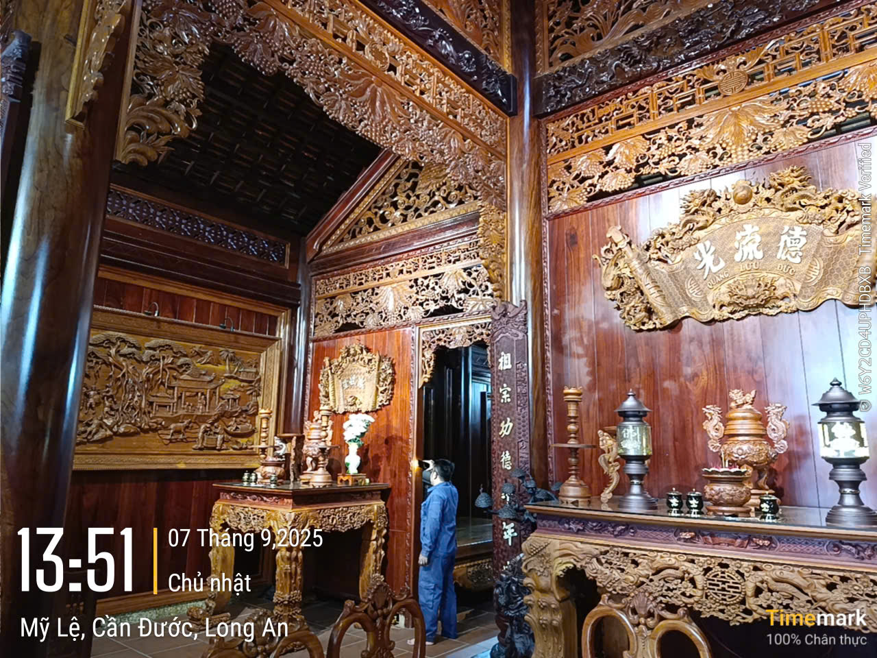 Dịch vụ diệt mối tại quận 12