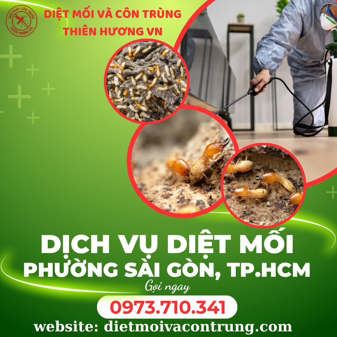Dịch vụ diệt mối phường Sài Gòn, TP.HCM 