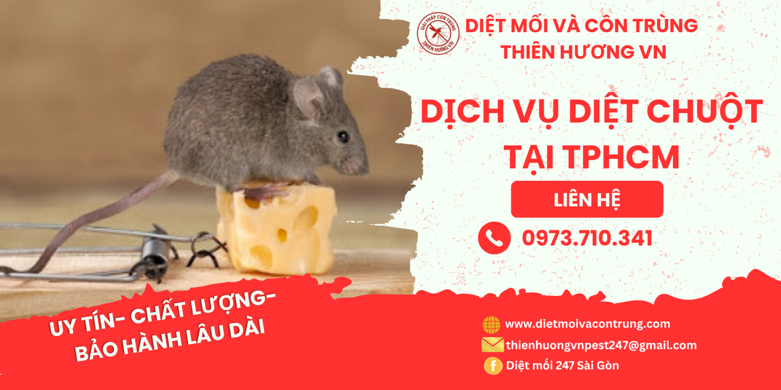 Dịch vụ diệt chuột tại TPHCM: Thiên Hương VN