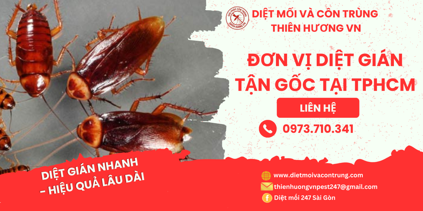 Đơn vị diệt gián tận gốc tại TPHCM