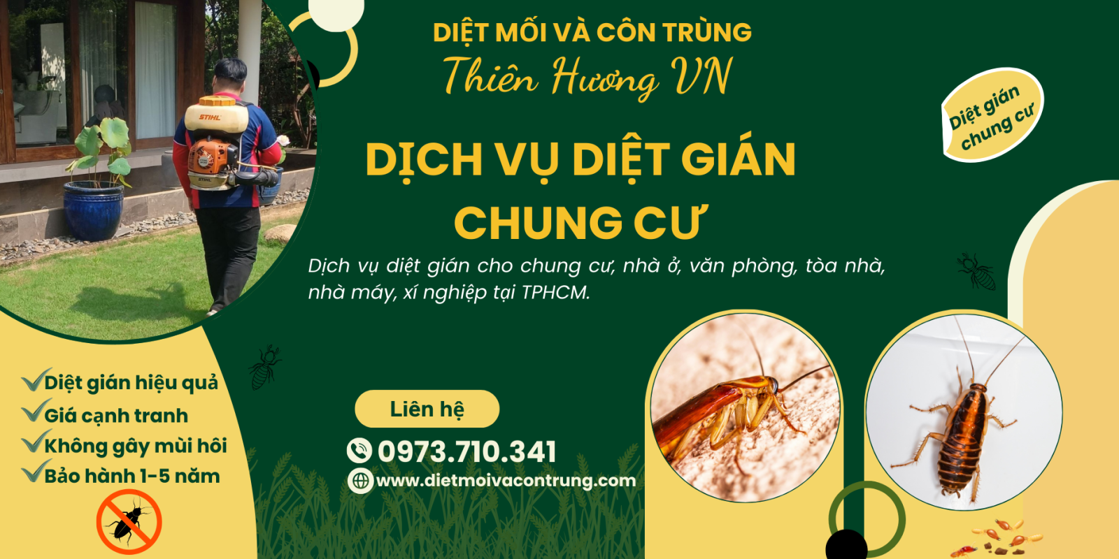 Dịch vụ diệt gián chung cư