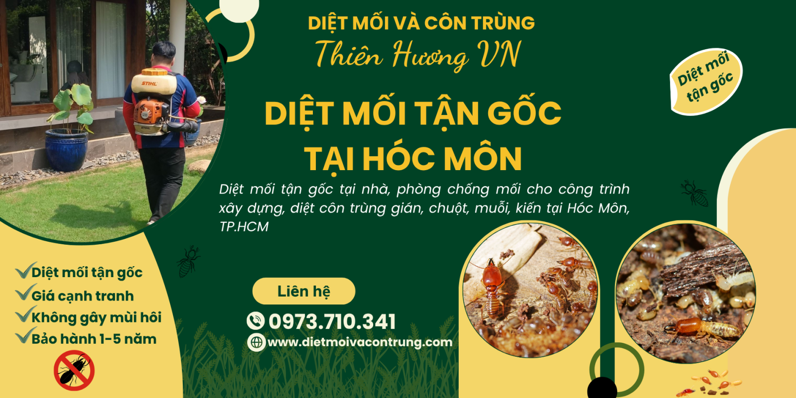 Diệt mối tận gốc tại Hóc Môn