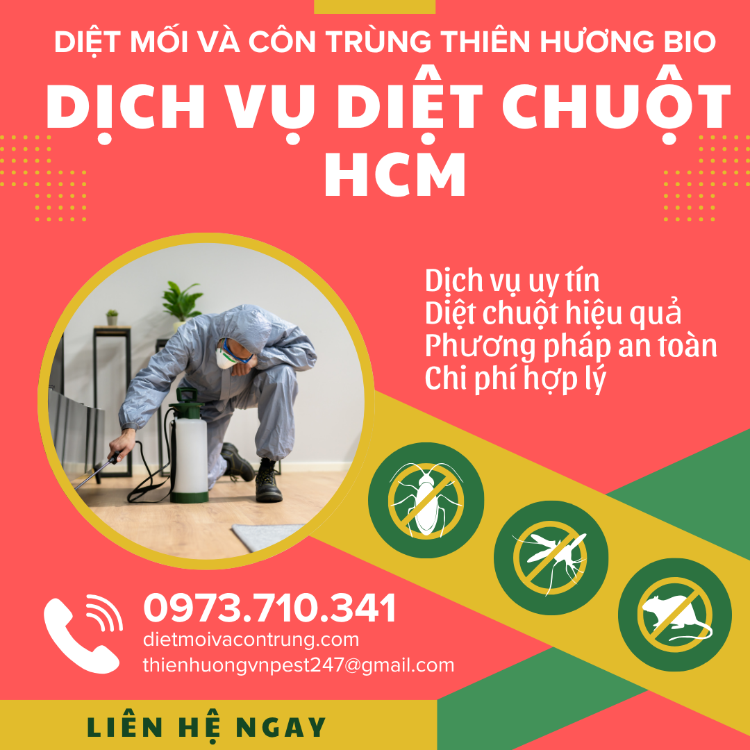 Dịch vụ diệt chuột uy tín tại HCM: Thiên Hương BIO