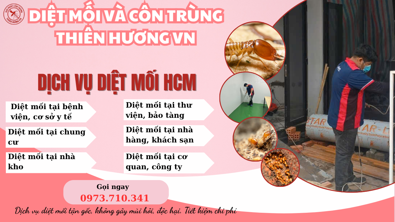 Diệt mối tận gốc tại HCM: Diệt mối và côn trùng Thiên Hương BIO