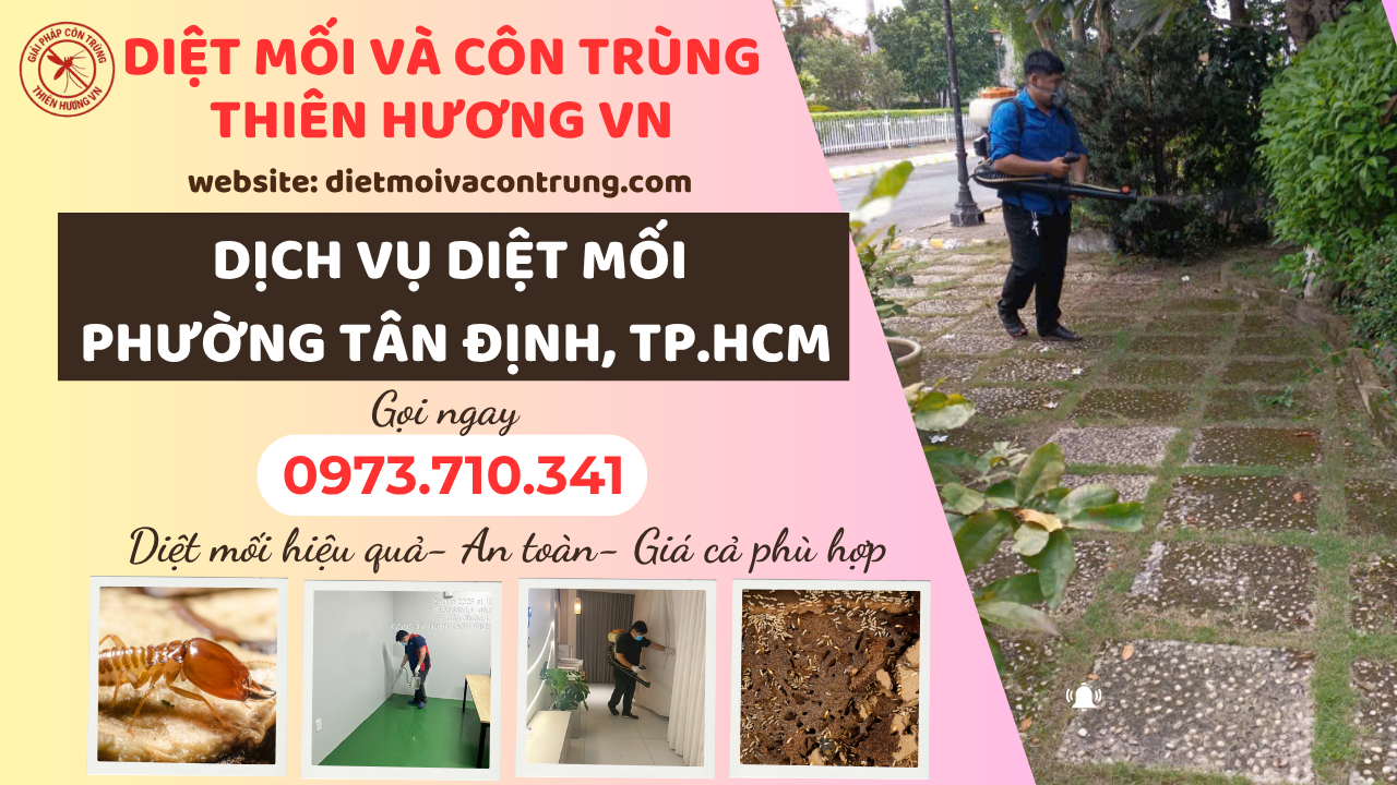 Dịch vụ diệt mối phường Tân Định, TP.HCM 