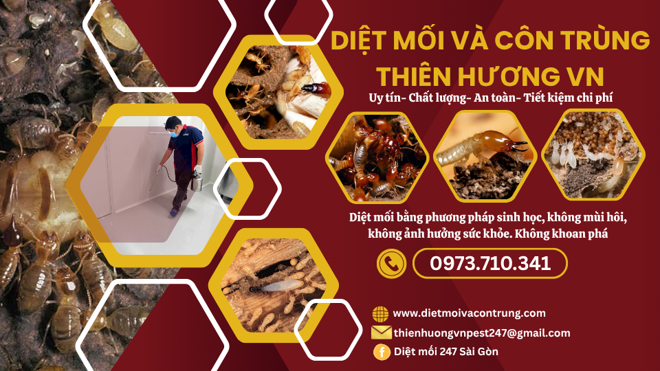 Diệt mối và côn trùng Thiên Hương VN – Giải pháp tận gốc, an toàn và bền vững