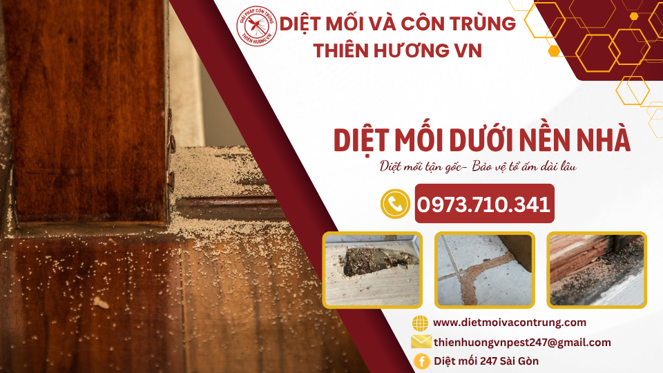 Diệt mối dưới nền nhà: Thiên Hương VN