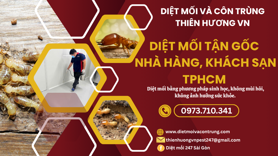 Diệt mối tận gốc nhà hàng, khách sạn TPHCM