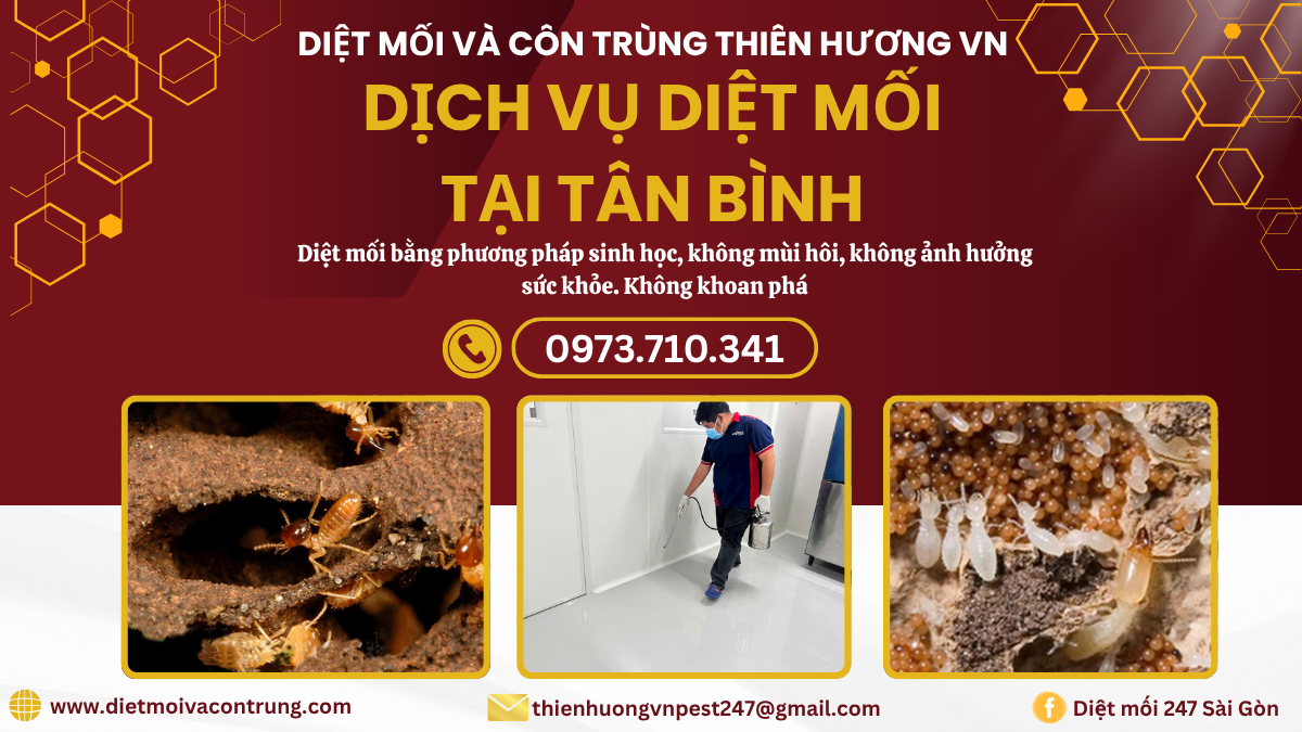 Dịch vụ diệt mối tại Tân Bình: Thiên Hương VN