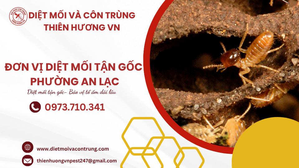 Đơn vị diệt mối tận gốc phường An Lạc