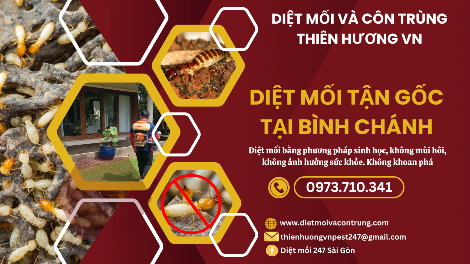 Giới thiệu dịch vụ diệt mối tận gốc tại Bình Chánh của Thiên Hương VN