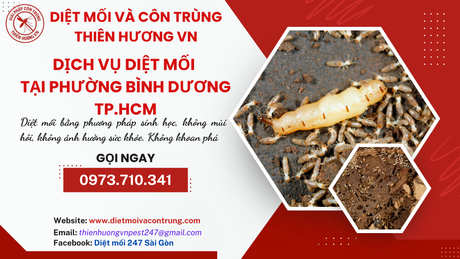  Dịch vụ diệt mối phường Bình Dương, TP.HCM
