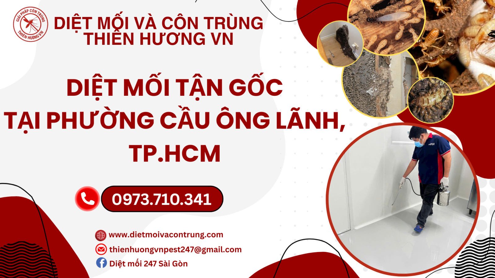  Dịch vụ diệt mối tận gốc phường Cầu Ông Lãnh, TP.HCM